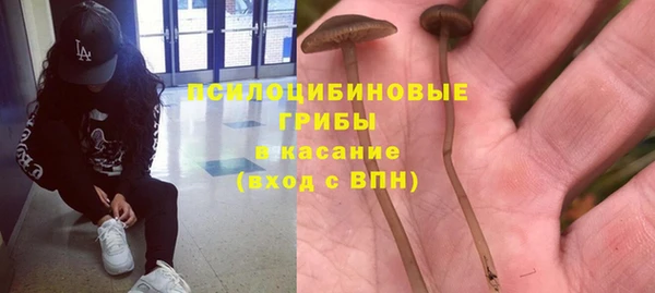 не бодяженный Беломорск