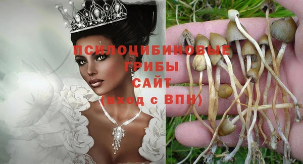 первитин Белокуриха