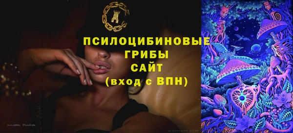 первитин Белокуриха