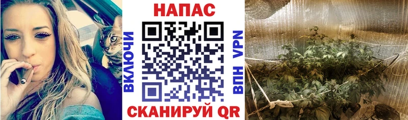 Конопля AK-47  Нефтегорск 
